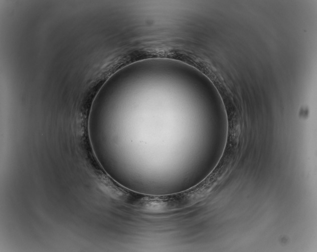 X0000100370658200806061156