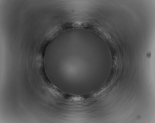 X0000100370659200806061156