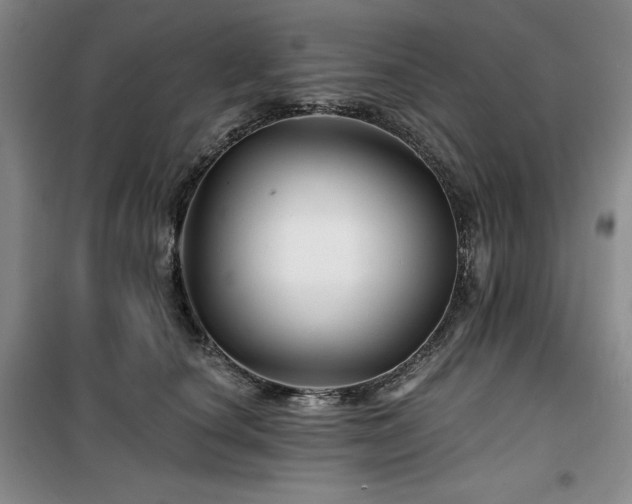 X0000100370660200806061157