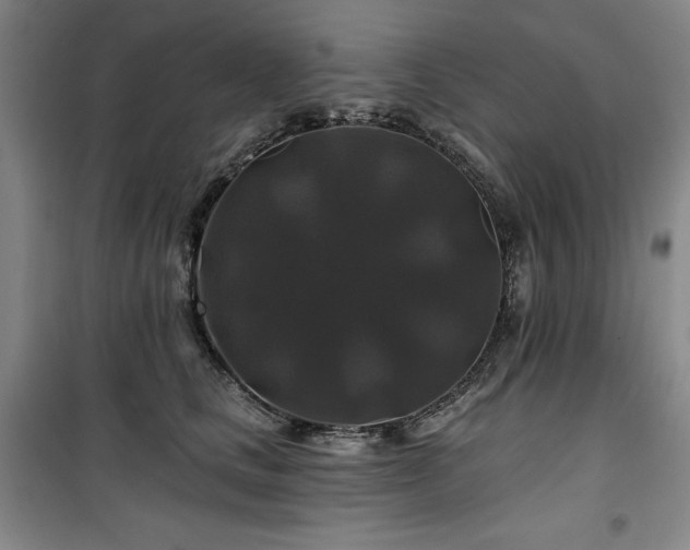 X0000100370661200806061157