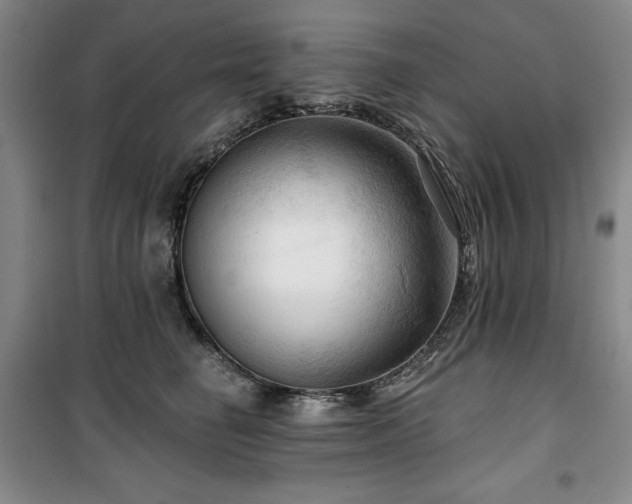 X0000100370662200806061157