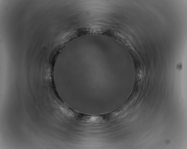 X0000100370663200806061157