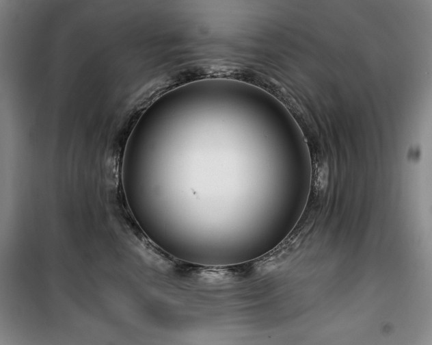 X0000100370666200806061157