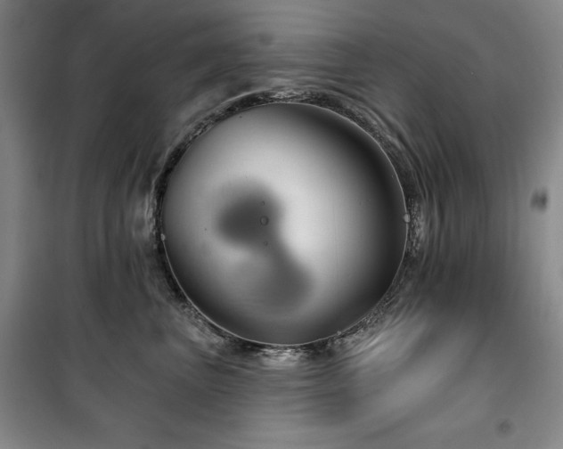 X0000100370667200806061157