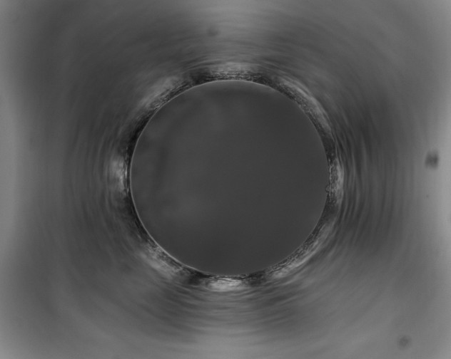 X0000100370669200806061157