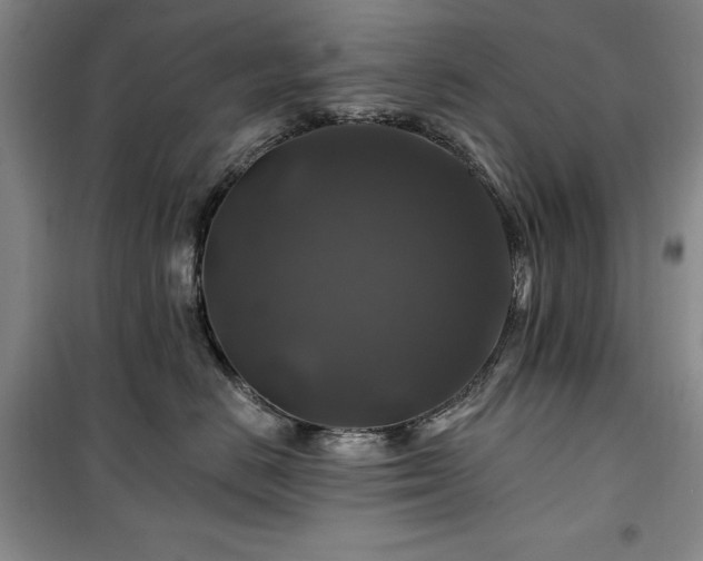 X0000100370670200806061157