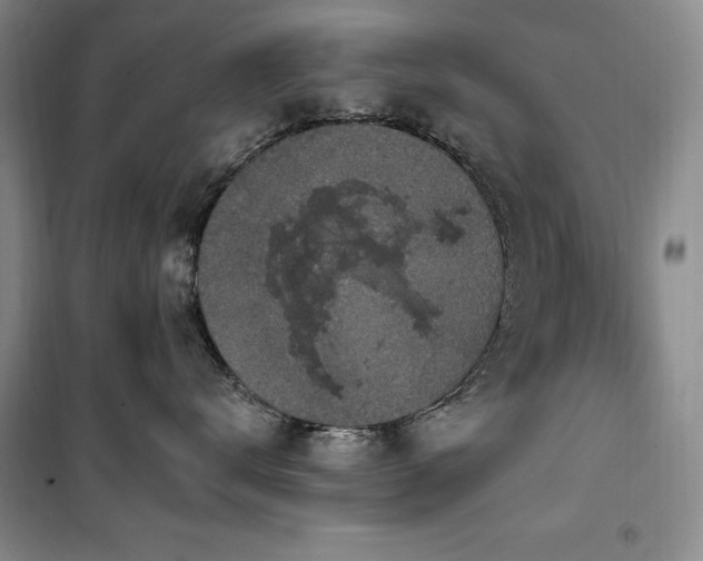 X0000100370672200806061157