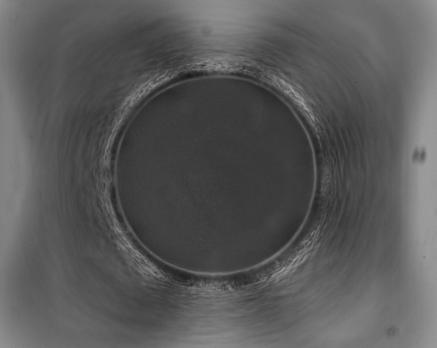 X0000100370673200806061156