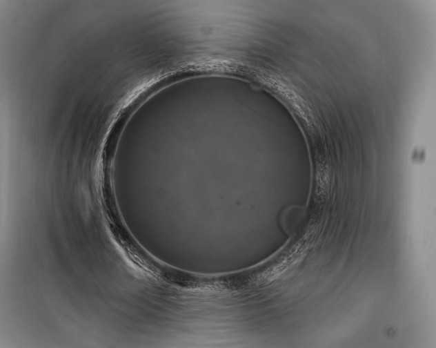 X0000100370674200806061156