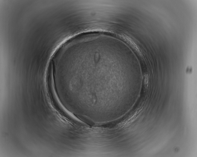 X0000100370676200806061156