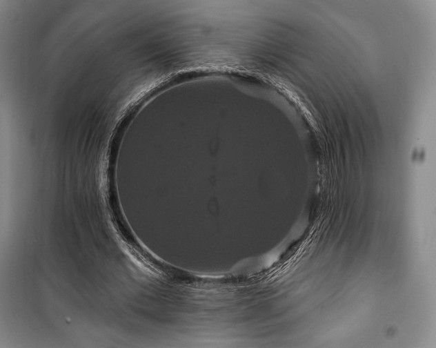 X0000100370677200806061156