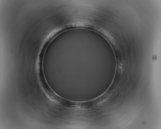 X0000100370678200806061156