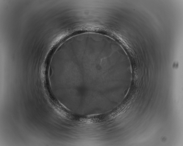 X0000100370679200806061156