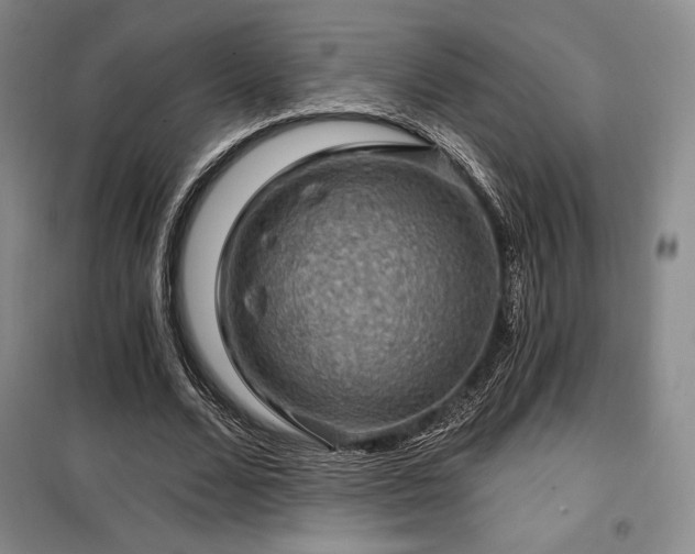 X0000100370680200806061156