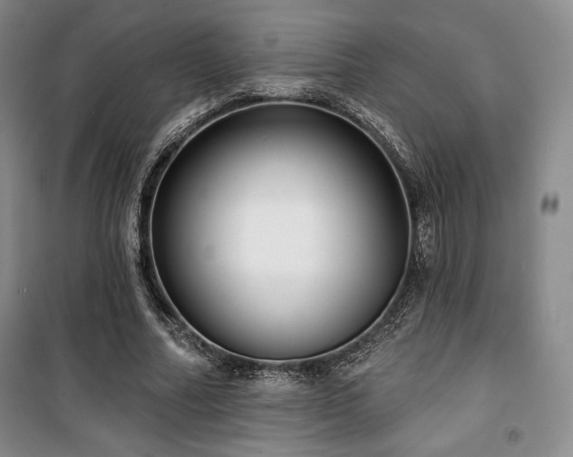 X0000100370682200806061156