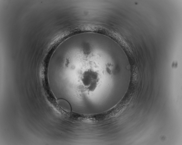 X0000100370683200806061156