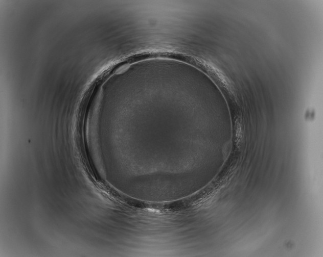 X0000100370684200806061156