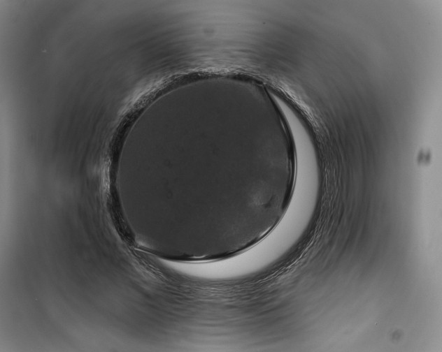 X0000100370685200806061156