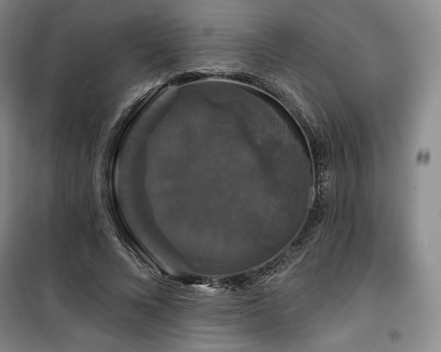 X0000100370688200806061156