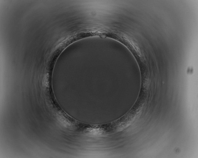 X0000100370689200806061156