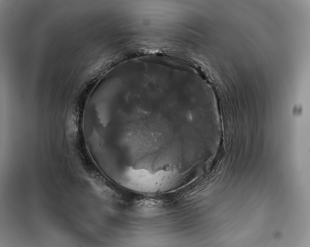 X0000100370691200806061156