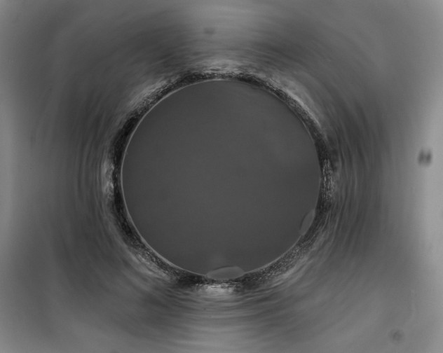 X0000100370692200806061156