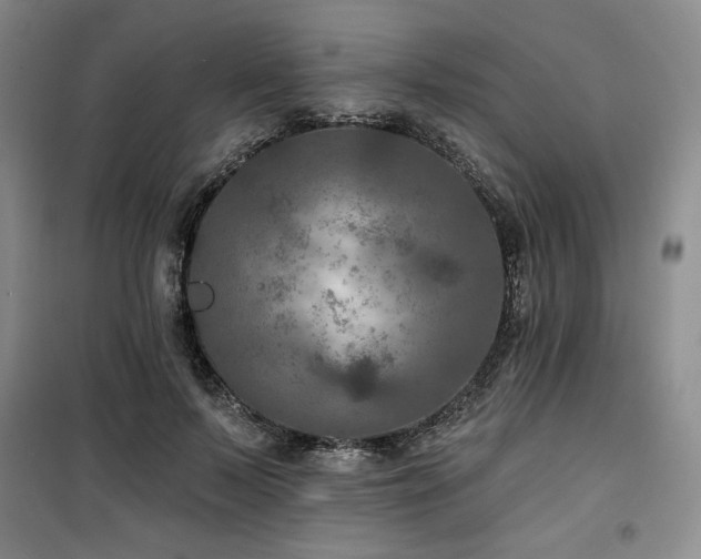 X0000100370695200806061156