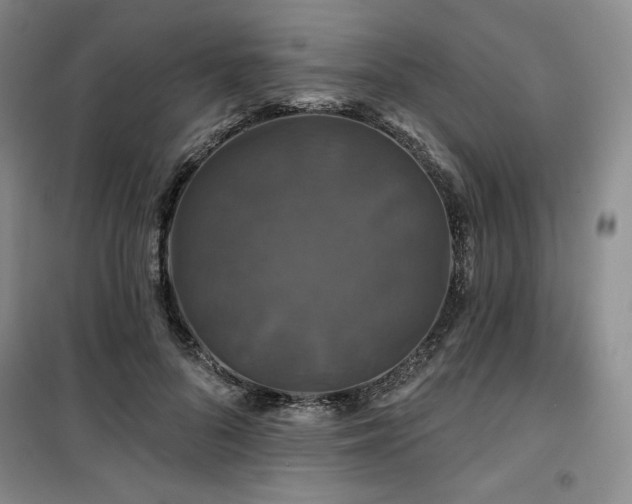 X0000100370696200806061156