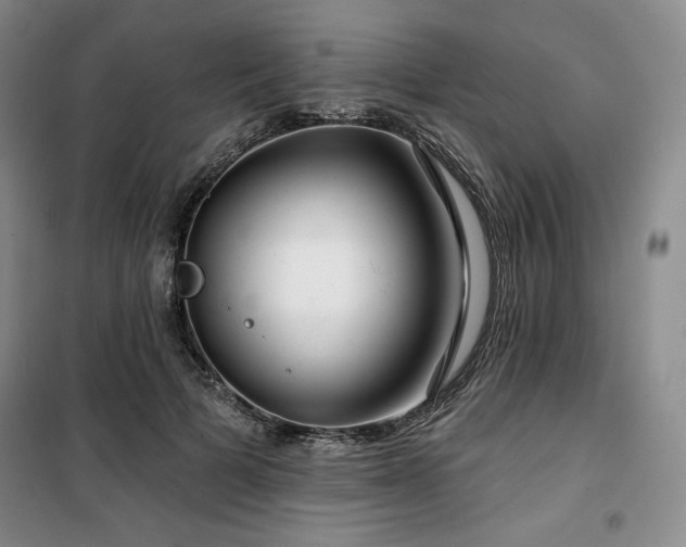 X0000100370697200806061155