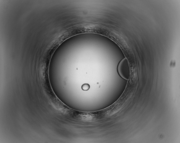 X0000100370698200806061155