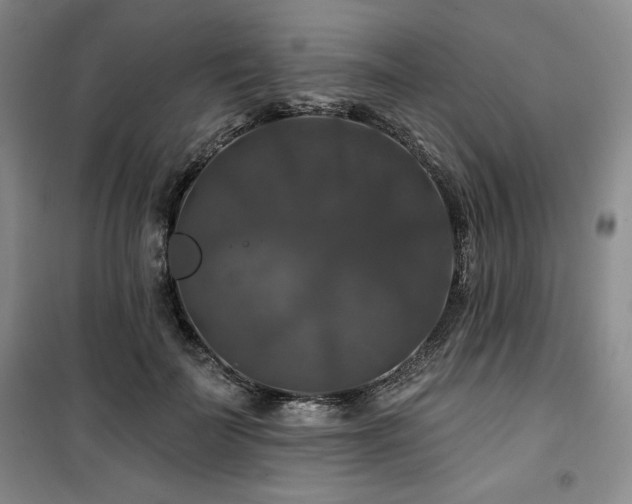 X0000100370699200806061155