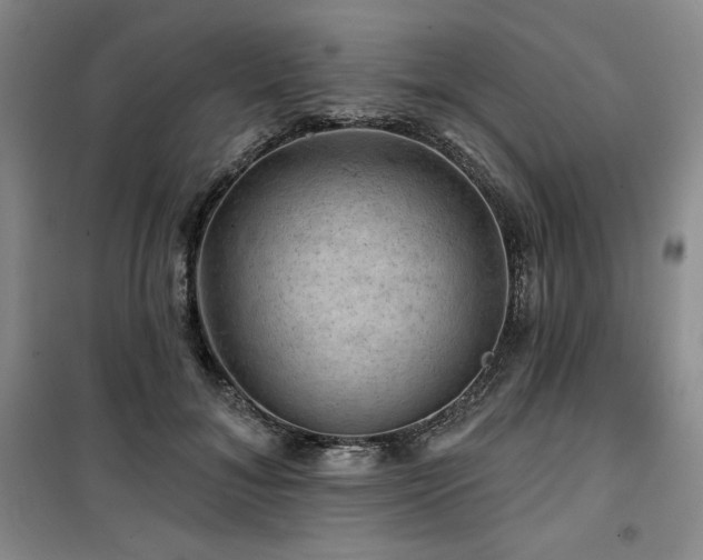 X0000100370700200806061155