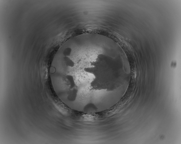 X0000100370703200806061155