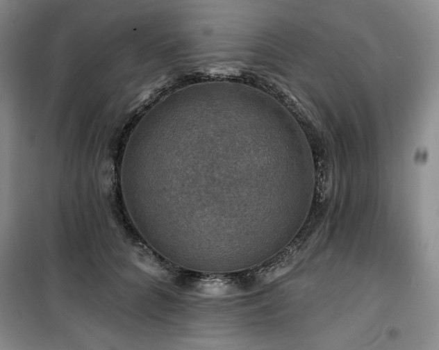X0000100370704200806061155