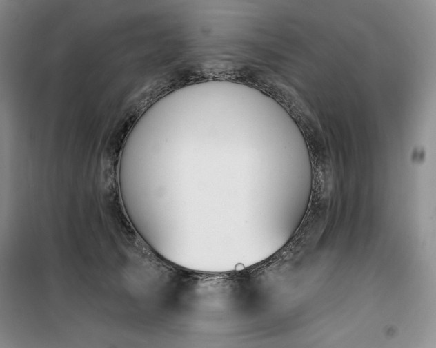 X0000100370705200806061155