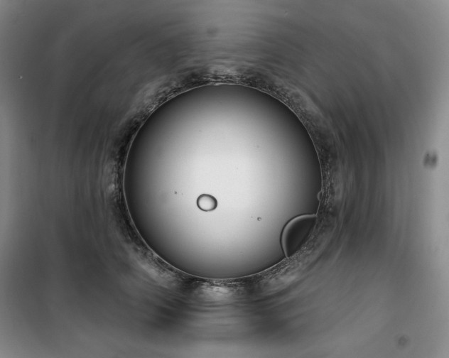 X0000100370706200806061155