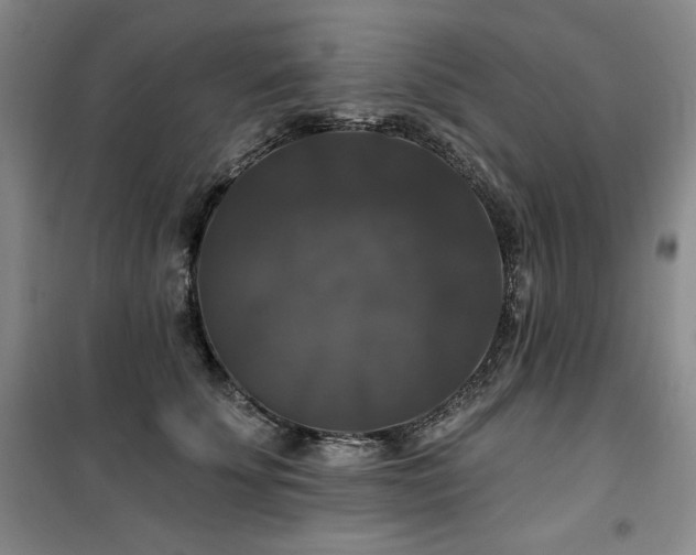 X0000100370707200806061155