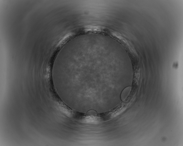 X0000100370708200806061155