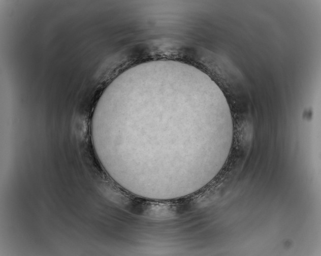X0000100370709200806061155