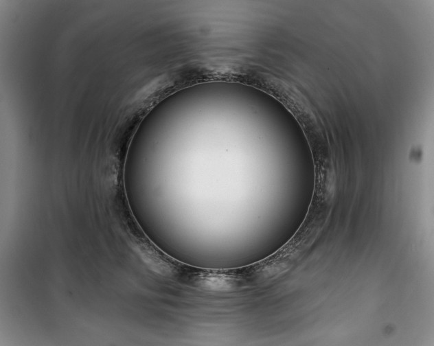 X0000100370710200806061155