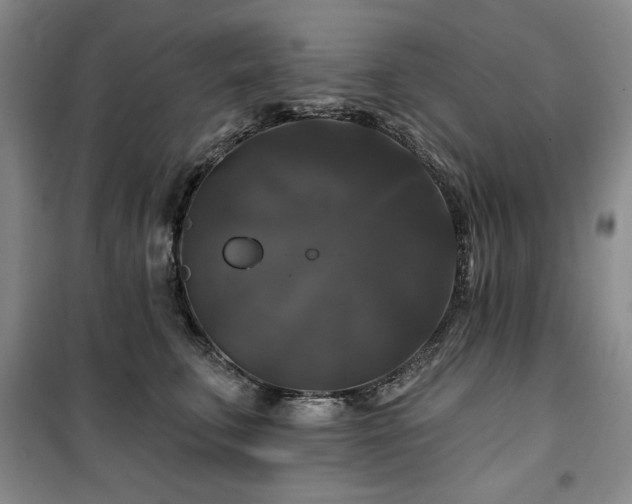 X0000100370711200806061155