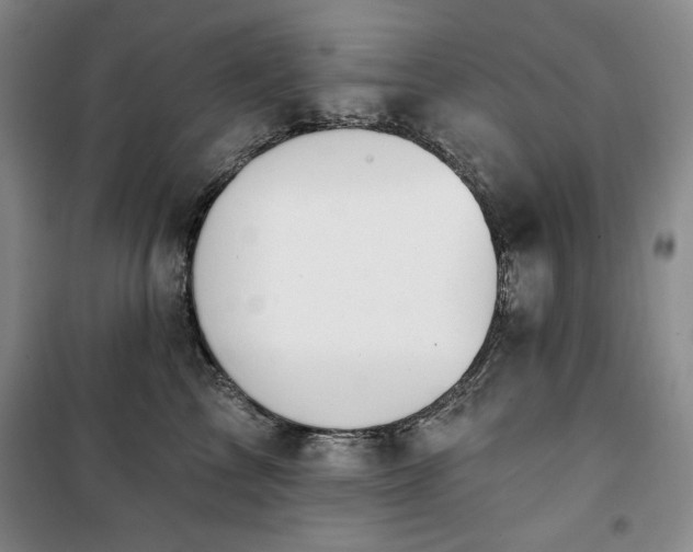 X0000100370713200806061155