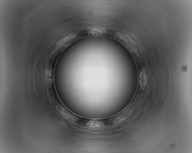 X0000100370714200806061155
