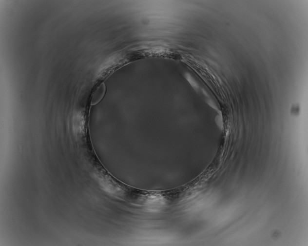 X0000100370715200806061155