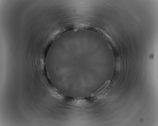 X0000100370716200806061155