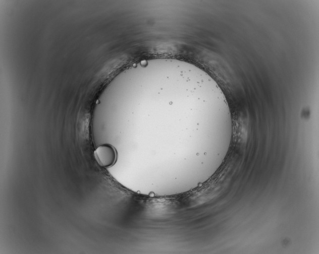 X0000100370717200806061155