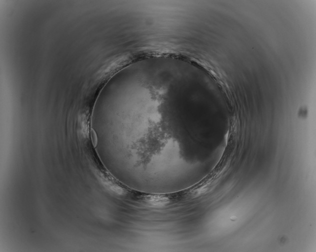 X0000100370719200806061155