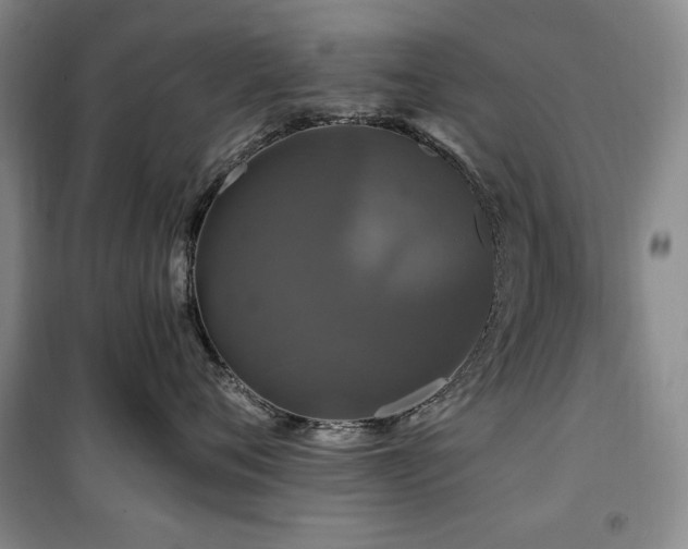 X0000100370720200806061155