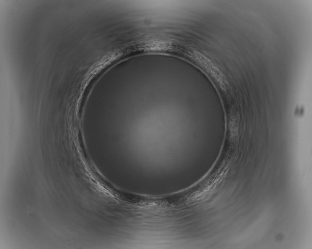 X0000100370721200806061155