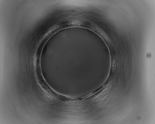 X0000100370722200806061155